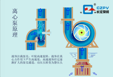 単吸離心泵工作原理圖 単吸離心泵工作原理圖